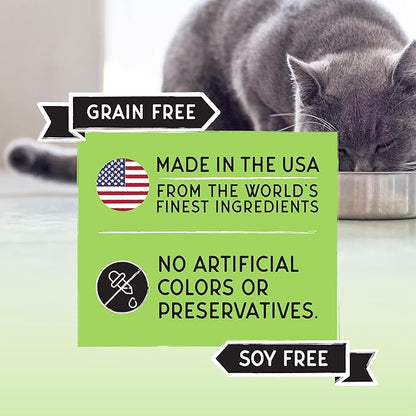 Blackwood Bounty Dry Cat Food, Whitefish &amp; Lentil Recipe for All Life Stages, 2 Pound Bag, High Protein, Grain Free (Pack of 4)