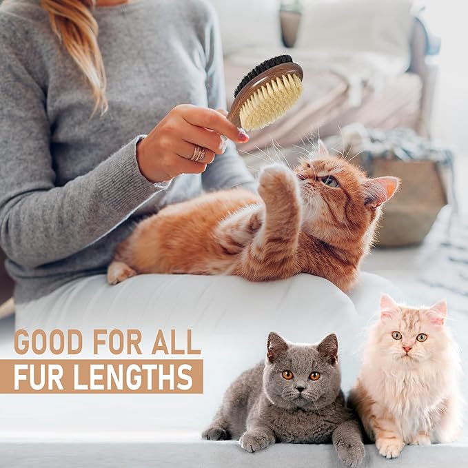 Takavu Double-Sided Boar Bristle Cat Brush - Natural Grooming Tool for Gentle Cleaning, Shine &amp; Reduced Loose Hair - Wood Handle Pet Brush