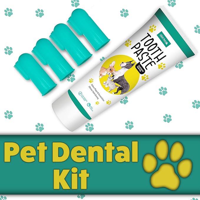 H&amp;H Pets Dog Toothbrushes and Toothpaste Best Professional Cats &amp; Dogs Finger Dental Brush, Dog Brush Set, Perfect for Dogs and Cats, Dog Supplies - Size Small 4 Count 3.5 Oz Toothpaste (100g)