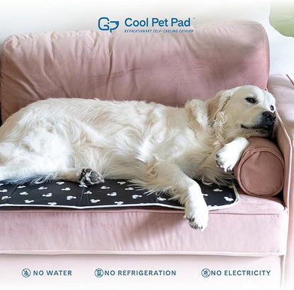 The Green Pet Shop Cool Pet Pad - Extra Small, Disney’s Mickey &amp; Minnie Mouse - Self-Cooling, Pressure Activated Mat for Dogs &amp; Cats from 0-8 lbs - Non-Toxic Gel, No Water Needed