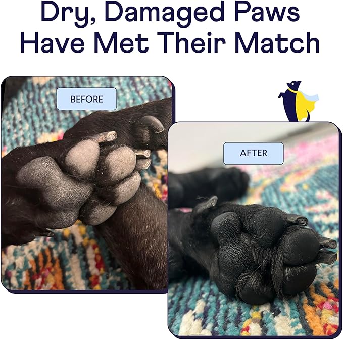 Finn Paw Hero | Natural Revitalizing Dog Paw Balm | Protect, Nourish &amp; Repair from Wear, Damage &amp; Dryness - 1.75 oz