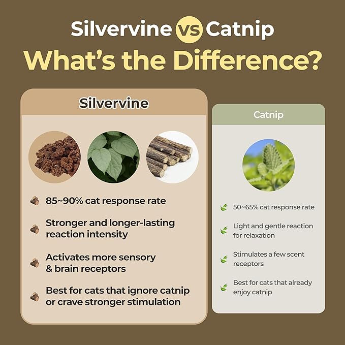 JAYU PET Active MATA Spray – 100% Natural Silvervine Spray for Cats, Liquid Catnip Alternative, Calming Spray for Indoor Kittens, Boosts Play &amp; Engagement, Reduces Stress (1 fl oz)