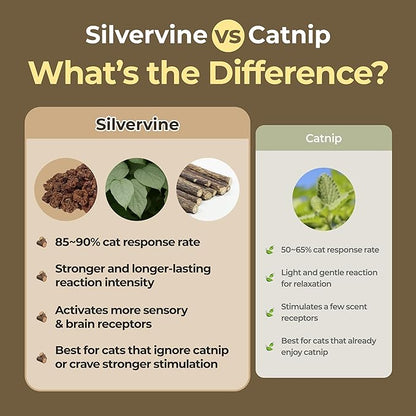 JAYU PET Active MATA Spray – 100% Natural Silvervine Spray for Cats, Liquid Catnip Alternative, Calming Spray for Indoor Kittens, Boosts Play &amp; Engagement, Reduces Stress (1 fl oz)