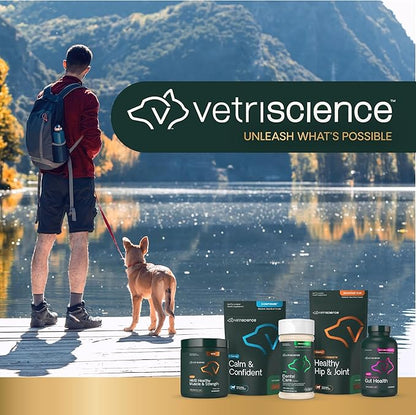 VetriScience Glycoflex 3 Clinically Proven Hip and Joint Supplement for Dogs - Maximum Strength Dog Supplement with Glucosamine, MSM, Green Lipped Mussel &amp; DMG - 120 Chewable Tablets, Chicken Flavor