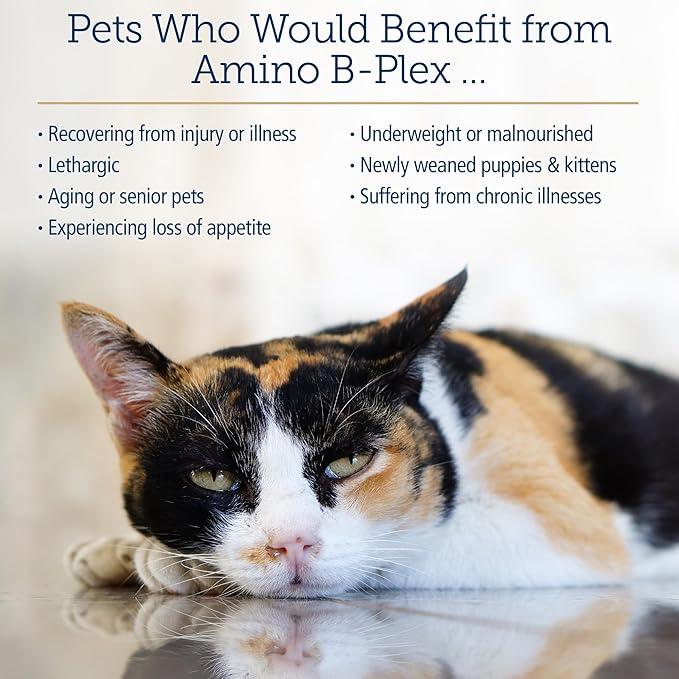 Rx Vitamins Amino B Plex Cat &amp; Dog Supplement - Vitamin B Complex Liquid Plus Amino Acids for Dogs &amp; Cats - Appetite Booster and Weight Gainer Cat &amp; Dog Vitamins - 4 oz