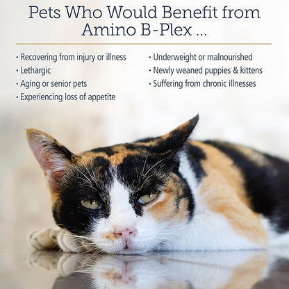 Rx Vitamins Amino B Plex Cat &amp; Dog Supplement - Vitamin B Complex Liquid Plus Amino Acids for Dogs &amp; Cats - Appetite Booster and Weight Gainer Cat &amp; Dog Vitamins - 2 oz