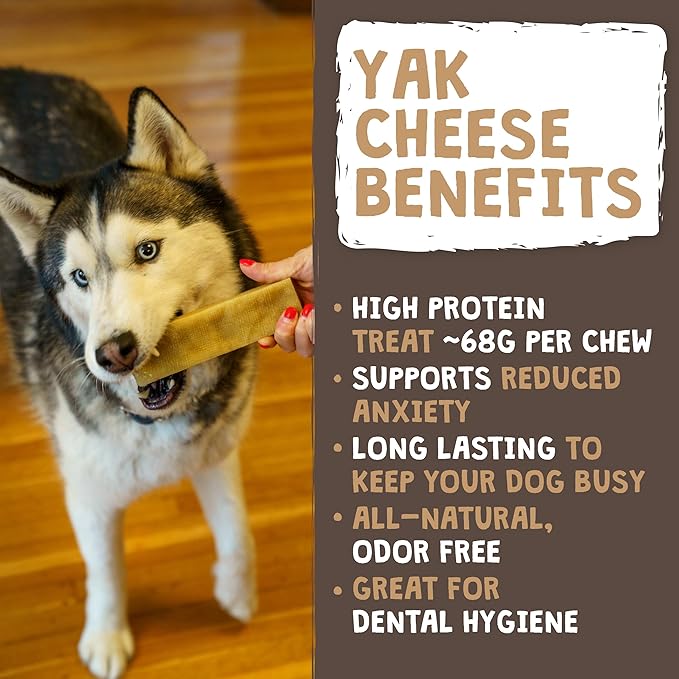 Mighty Paw Yak Cheese Chews for Dogs | All-Natural Long Lasting Pet Treats. Odorless and Great for Oral Health. Limited-Ingredient Chews for Puppies &amp; Power-Chewers (Small, 12 Pack)