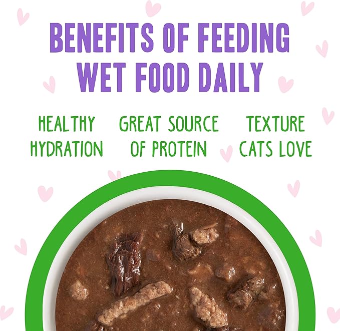 B.F.F. OMG - Best Feline Friend Oh My Gravy!, Tuna &amp; Lamb Lights Out with Tuna &amp; Lamb, 5.5oz Can (Pack of 8)