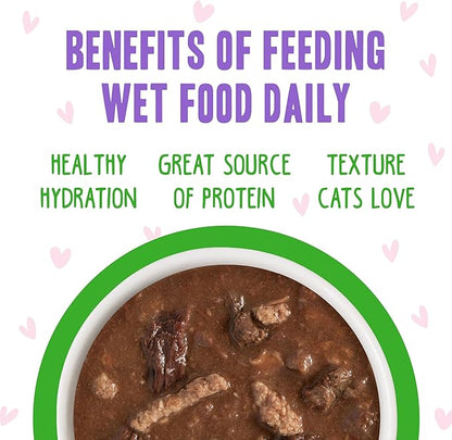 Weruva B.F.F. OMG - Best Feline Friend Oh My Gravy!, Tuna &amp; Lamb Lights Out with Tuna &amp; Lamb, 2.8oz Can (Pack of 12)