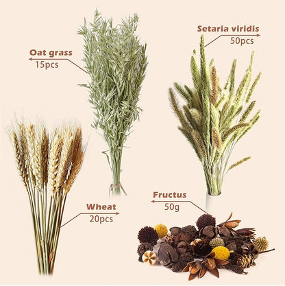 Natural Ear of Grain Flower&amp;Herb Bedding Mate Habitat Decor, Adding Fun Hamster Accessories for Hamsters Gerbils Lemming