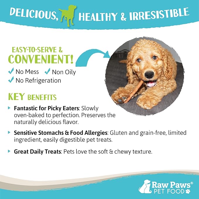 Raw Paws Grain-Free Soft Stick Treats for Dogs &amp; Cats - Chicken Recipe, 6-oz - USA Soft Chicken Dog Treats Grain Free - Sausage Sticks for Dogs, Dog Jerky Sticks - Chewy Jerky