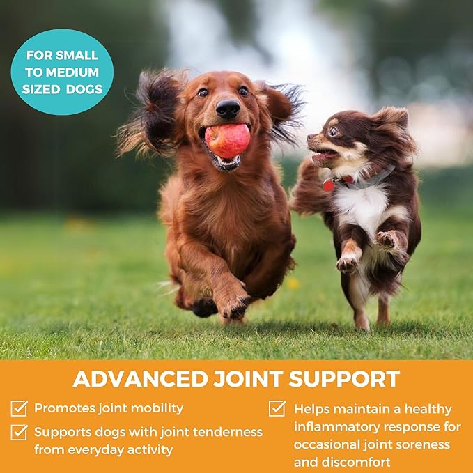 Nootie Progility Mini Hip &amp; Joint Small &amp; Medium Breed Chew Supplement for Dogs, 60 Count