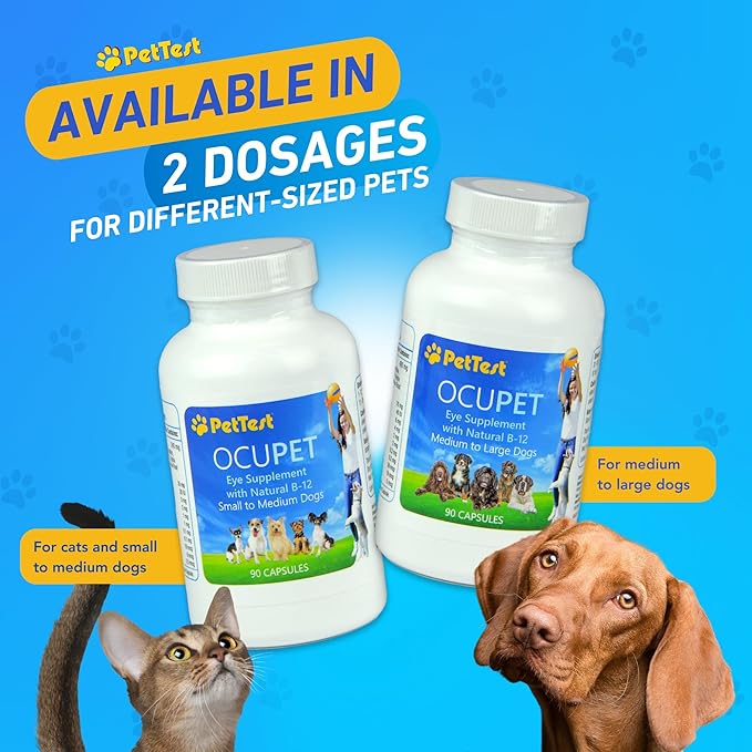 Ocupet Advanced Vision &amp; Eye Health Supplement for Cats &amp; Small-Medium Dogs, Packed with Natural B12, Grape Seed Extract &amp; Lutein to Support Pets with Diabetes or Eye Related Conditions-90 Capsules