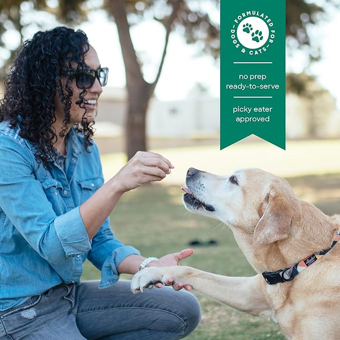 smallbatch Freeze Dried Dog Treats, Superfood Food Topper Lamb Bites for Dogs &amp; Cats, Probiotics, Organic Ingredients, High Protein, Grain Free Healthy Treat or Food Topper, Made in The USA, 7 oz Bag