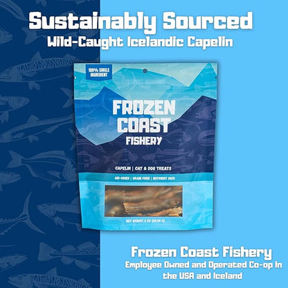 Frozen Coast Capelin Cat &amp; Dog Treats- Single-Ingredient, All-Natural, High-Protein, Omega-3s, Fish Snacks (3 oz Bag)