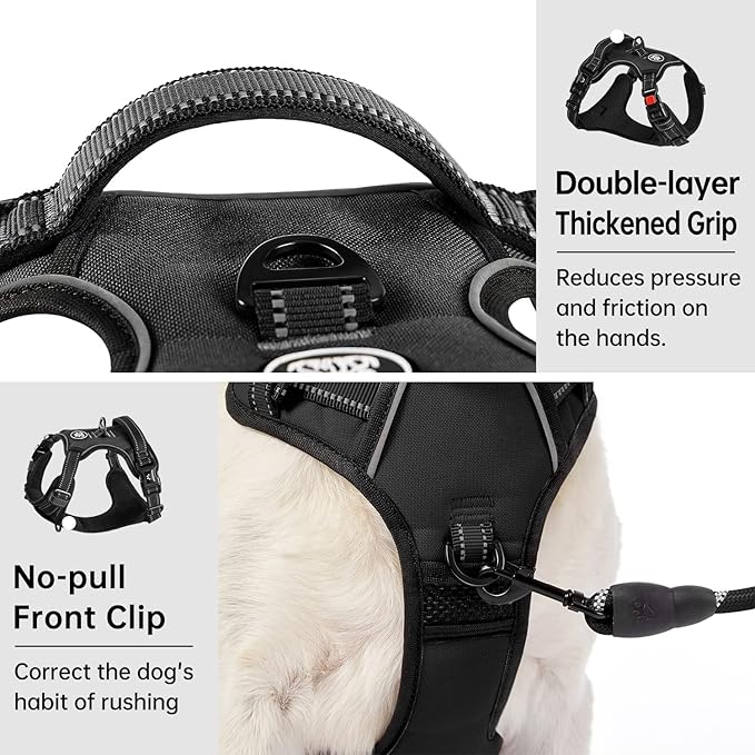 IVY&amp;LANE No Pull Dog Harness for Medium Dogs, Dog Vest Harness with Leash, Safety Belt and Storage Strap, Fully Adjustable Harness, 360° Reflective Strip, Soft Handle (Black, M)