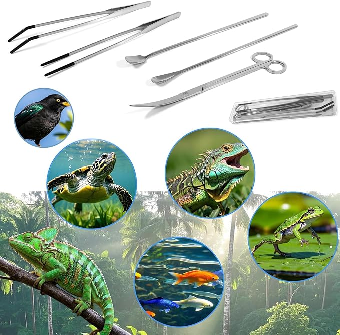 5 Pcs Reptile Feeding Tools Set with Silicone Tips - Extra Long Straight&amp;Curved Tongs, Spoons, Scissors - Stainless Steel Terrarium Feeder Kit for Bearded Dragons, Lizards, Snake, Spiders, Aquarium