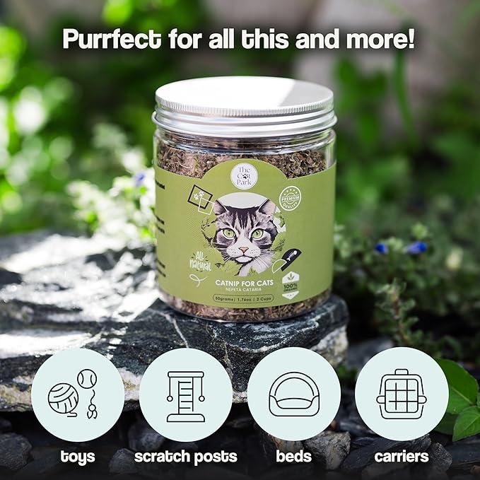 Organic Catnip for Cats &amp; Kittens – 1.76 oz Premium Natural Catnip, High Potency Blend for Playtime, Training, and Stress Relief, 2 Cups of Dried Cat Nip Leaves