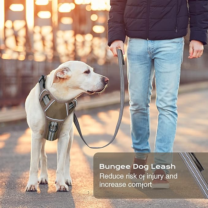 No Pull Dog Harness for Large Dogs, Adjustable No Choke Pet Vest with Dog Leash Fit Smart Reflective Pet Walking Harness for Training Easy Control Soft Handle Brown L