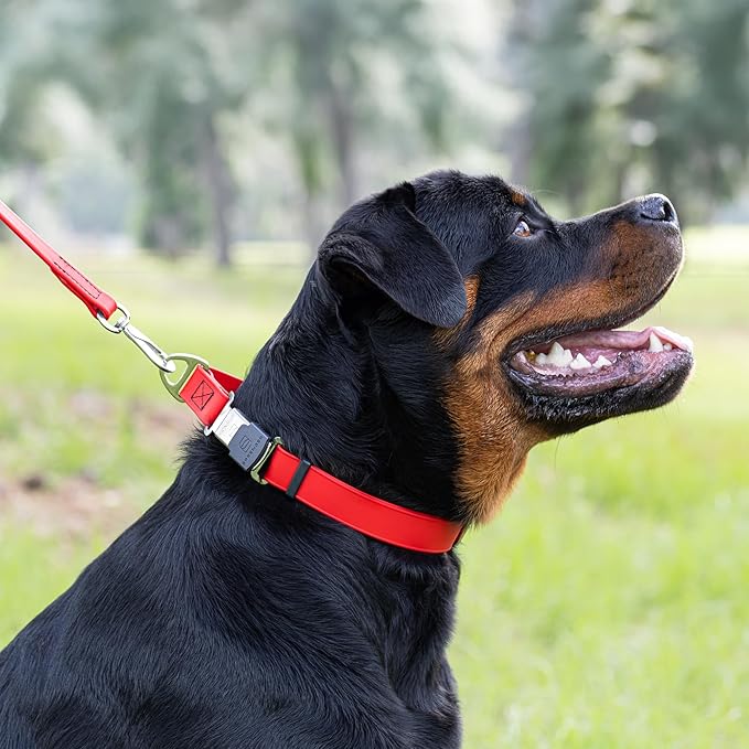 Dogline Biothane Waterproof Dog Collar with Herm Sprenger Stainless Steel Quick Release Buckle – Heavy Duty Tactical Durable Collar for Dogs – Comfortable and Safe Pet Collar, W 1" L 15-25", Red