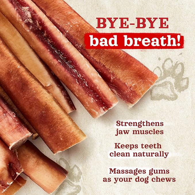 Natural Farm Odor-Free Thick Bully Sticks (12”, 5-Pack) All-Natural Long-Lasting Dog Chews, 100% Beef Pizzle, Grass-Fed, Grain-Free, Protein for Muscle Development &amp; Energy, Perfect for Large Dogs
