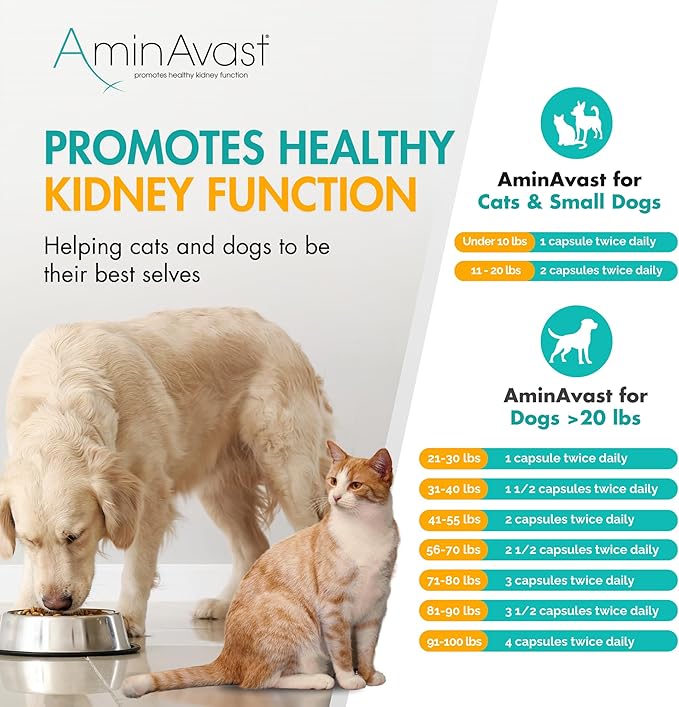 AminAvast Small Dogs &amp; Cat Kidney Support - Promotes Healthy Kidney Support in Cats &amp; Small Dogs - 300mg, 60 Capsule