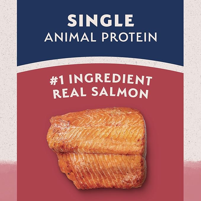 Natural Balance Limited Ingredient Adult Dry Dog Food with Healthy Grains, Salmon &amp; Brown Rice Recipe, 4 Pound (Pack of 1)