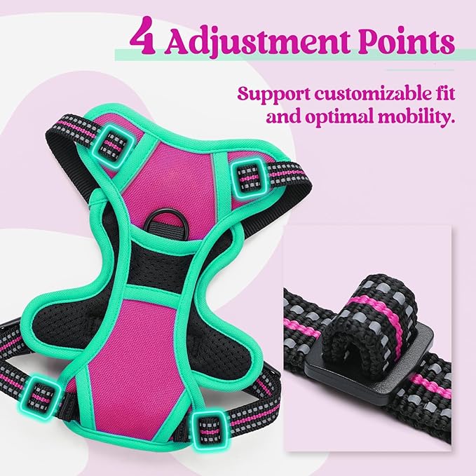 rabbitgoo Dog Harness No Pull with 2 Leash Clips, Adjustable Soft Padded, Reflective Oxford No Choke Pet Vest with Easy Control Handle for Large Dogs, Hot Pink &amp; Turquoise, XS