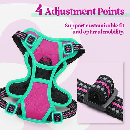 rabbitgoo Dog Harness No Pull with 2 Leash Clips, Adjustable Soft Padded, Reflective Oxford No Choke Pet Vest with Easy Control Handle for Large Dogs, Hot Pink &amp; Turquoise, XS