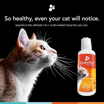 Cat Vitamins - Spectrin 16 OZ - Liquid Vitamin &amp; Antioxidant Supplement for Cats - 96 doses