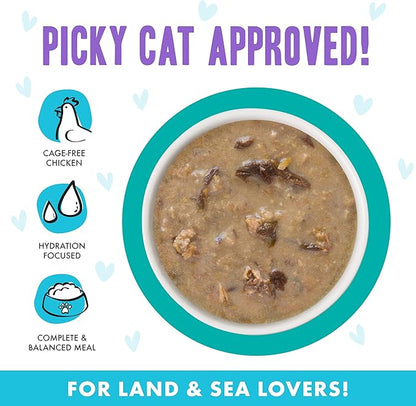Weruva B.F.F. OMG - Best Feline Friend Oh My Gravy! Grain-Free Wet Cat Food Cans, QT Patootie! Chicken &amp; Turkey, 2.8 oz Can (Pack of 12)