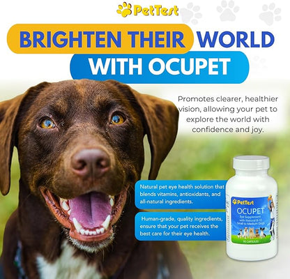 Ocupet Advanced Vision &amp; Eye Health Supplement for Cats &amp; Small-Medium Dogs, Packed with Natural B12, Grape Seed Extract &amp; Lutein to Support Pets with Diabetes or Eye Related Conditions-90 Capsules