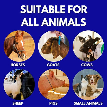 Show Out Skin &amp; Scratches 4 oz Concentrate - Fast Relief and Prevention for Horse Care. Use on Equine Scratches/Mud Fever, Girth Itch, Mange, Thrush, Rain Rot, Ringworm, etc w/Empty Spray Bottle