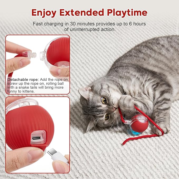 Interactive Cat Toy Dog Toy, Electric Automatic Rolling Moving Toys, Self Activated Play Smart Rolling Ball for Cats &amp; Dogs, Chase Teaser Pet Ball for Bored Indoor Cats/Kittens/Dogs, Rechargeable