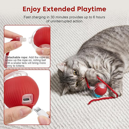 Interactive Cat Toy Dog Toy, Electric Automatic Rolling Moving Toys, Self Activated Play Smart Rolling Ball for Cats &amp; Dogs, Chase Teaser Pet Ball for Bored Indoor Cats/Kittens/Dogs, Rechargeable