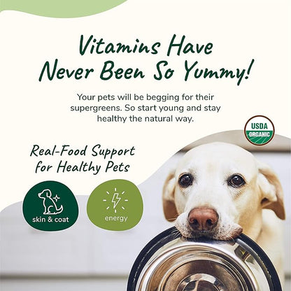 kin+kind Organic Multivitamin for Dogs &amp; Cats - Pet Supplement for Healthy Skin and Coat - Safe, Natural Formula with Wheatgrass, Kelp, Seaweed and Coconut - Made in USA - 4oz (Medium)