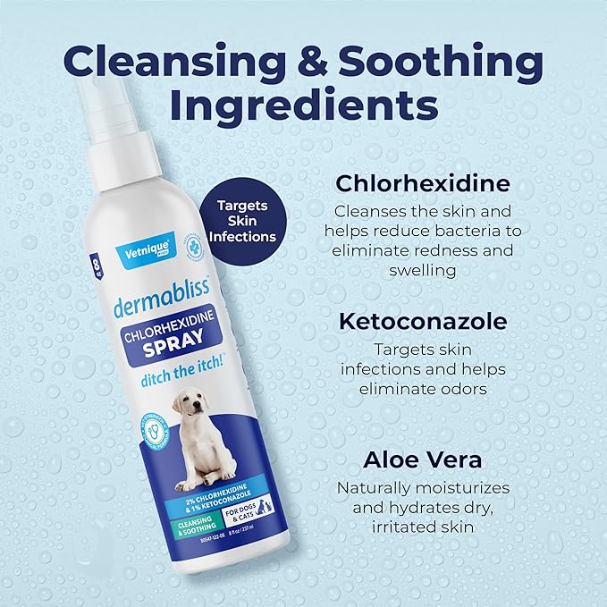 Vetnique Dermabliss Medicated Chlorhexidine Antiseptic Skin Spray for Dogs &amp; Cats, Supports Skin Infections and Irritations 8oz