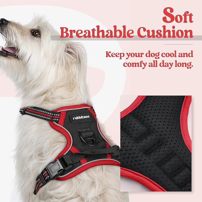 rabbitgoo Dog Harness No Pull with 2 Leash Clips, Adjustable Soft Padded, Reflective Oxford No Choke Pet Vest with Easy Control Handle for Puppy, Black &amp; Red, XS