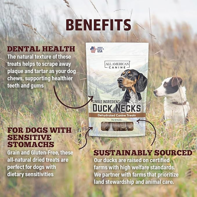 12 Natural Duck Neck Dog Treats – Single Ingredient, Dehydrated &amp; Chewy – Low-Fat, High-Protein Training Reward – Made in USA