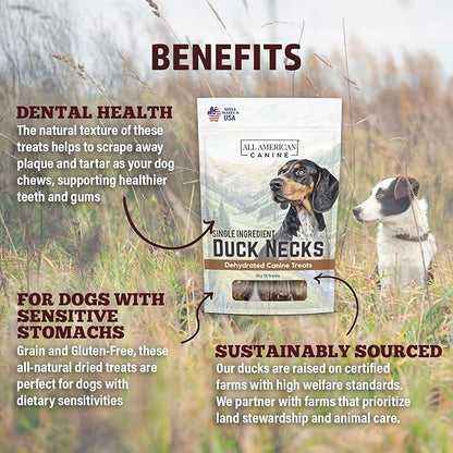 12 Natural Duck Neck Dog Treats – Single Ingredient, Dehydrated &amp; Chewy – Low-Fat, High-Protein Training Reward – Made in USA
