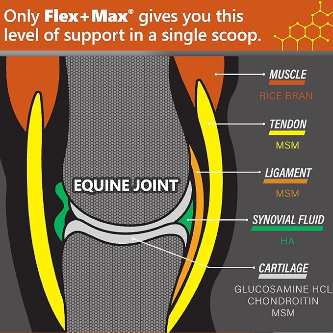 Absorbine Flex+Max Horse Joint Supplement Pellets, Highly Palatable, Comprehensive Equine Formula with Glucosamine, MSM, Chondroitin &amp; Flaxseed, 10lb Tub / 60 Day Supply