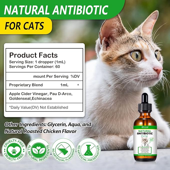 Antibiotics for Cats, Cat Antibiotics for Injections, Natural antibiotic for Cat Immune &amp; Allergy Relief, Cough Relief, Yeast Injection, UTI Treatments, Cats Antibiotics, 60ML