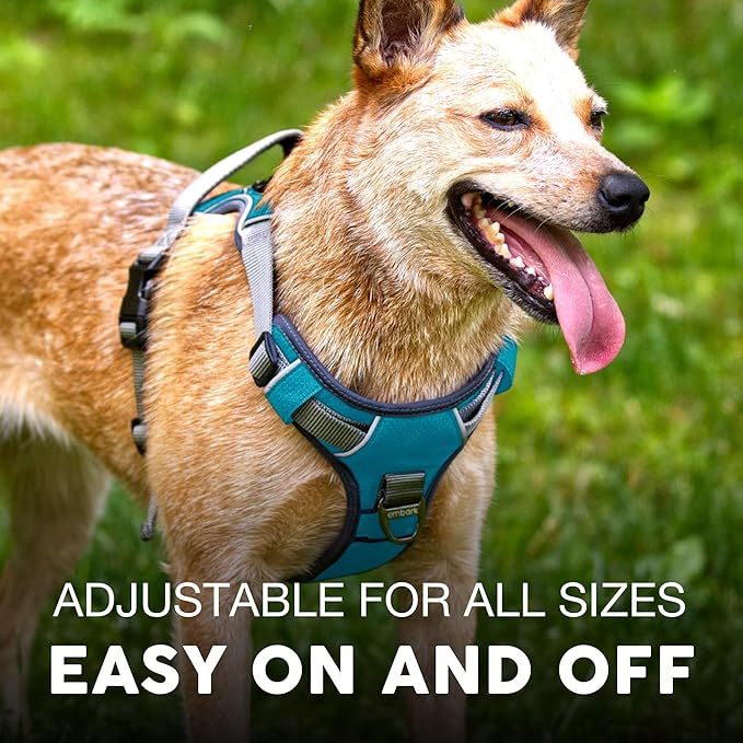 Embark Adventure Dog Harness, Reflective Trim XL Dog Harness for Extra Large Dogs No Pull - Military Grade Nylon, 2 Leash Clips &amp; Gel Lined Handle. Soft &amp; Padded Puppy