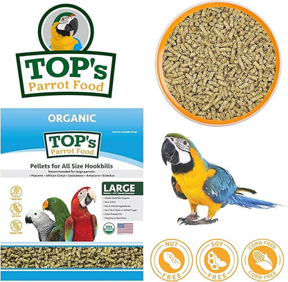 TOP&