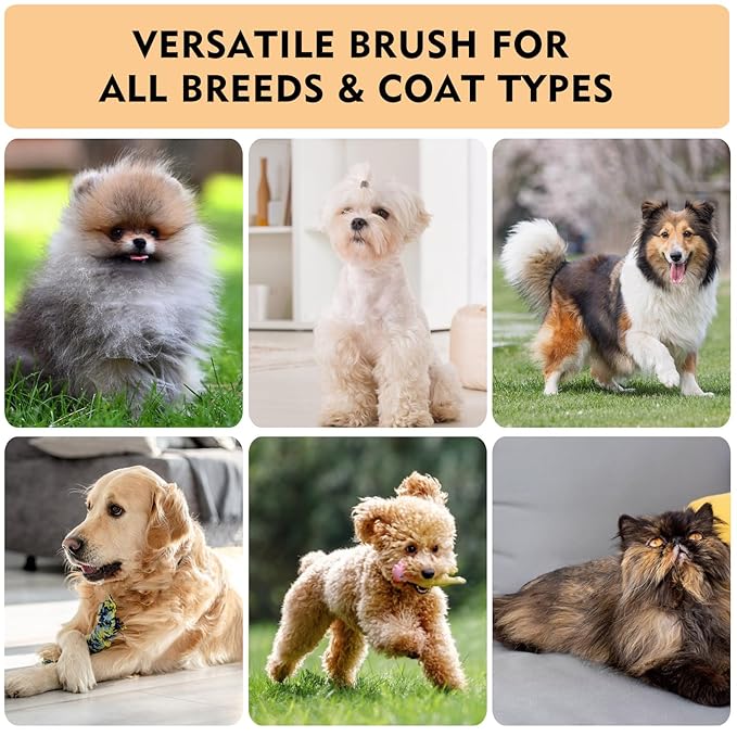 Dog Slicker Brush for Shedding &amp; Grooming - Professional Dog Brush and Cat Brush with Coated Tips &amp; Air-Cushion Design, Deshedding Tool Removes Undercoat Tangles &amp; Loose Fur for Long/Short Hair Pets