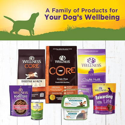 Wellness Complete Health Natural Wet Canned Dog Food, Lamb &amp; Sweet Potato, 12.5-Ounce Can (Pack of 12)