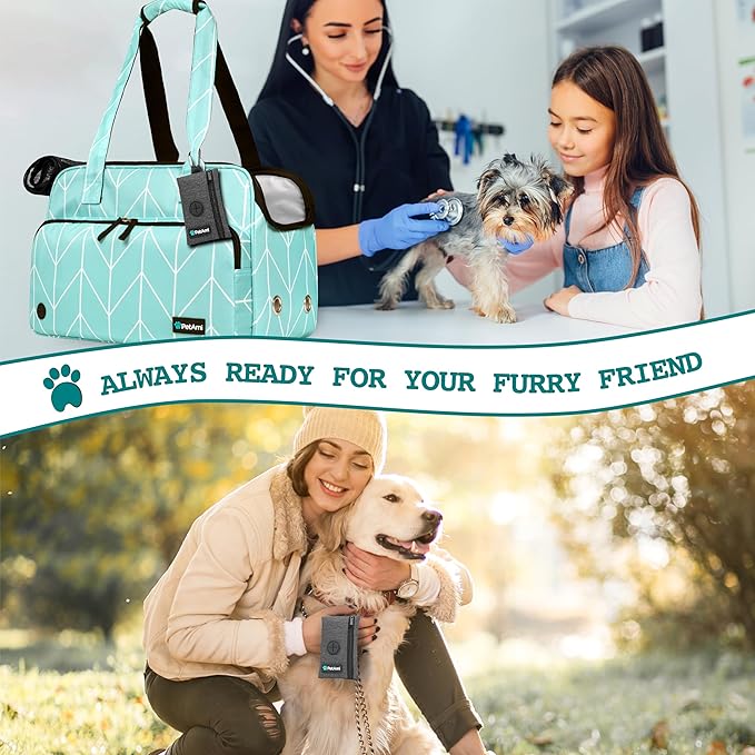 PetAmi Dog Poop Bag Holder for Leash, Dog Waste Bag Dispenser with Clip, Treat Pouch, Walking &amp; Camping Accessory with Trash Bag Roll, Gray 1 Pack