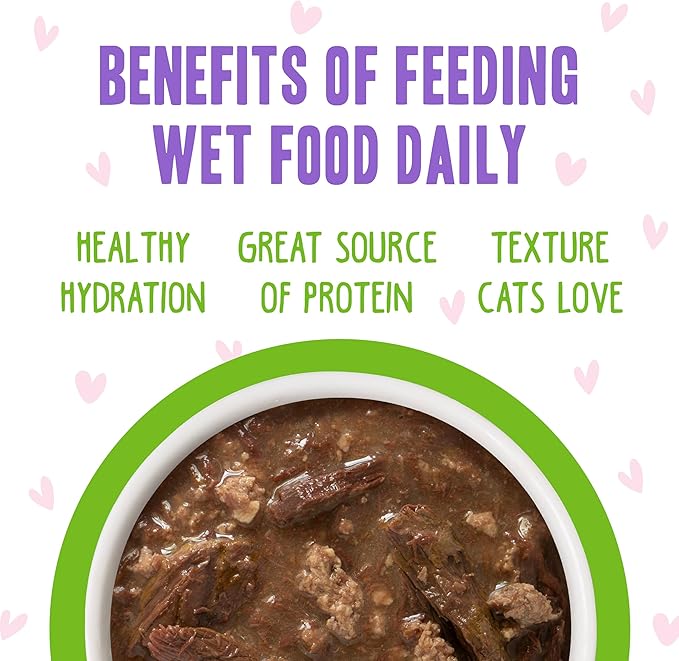 Weruva B.F.F. OMG - Best Feline Friend Oh My Gravy!, Tuna &amp; Lamb Luv Ya with Tuna &amp; Lamb in Gravy Cat Food, 3oz Pouch (Pack of 12)