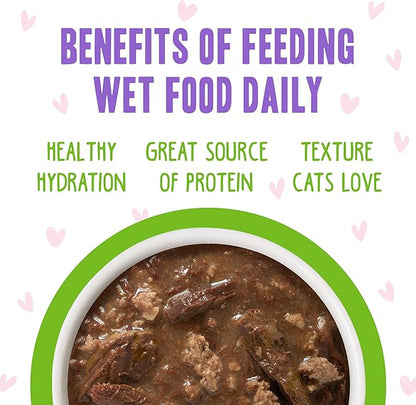 Weruva B.F.F. OMG - Best Feline Friend Oh My Gravy!, Tuna &amp; Lamb Luv Ya with Tuna &amp; Lamb in Gravy Cat Food, 3oz Pouch (Pack of 12)
