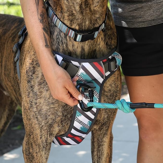 Embark Adventure Dog Harness, Reflective Trim XL Dog Harness for Extra Large Dogs No Pull - Military Grade Nylon, 2 Leash Clips &amp; Gel Lined Handle.